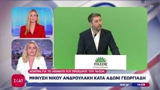Μήνυση Νίκου Ανδρουλάκη κατά Άδωνι Γεωργιάδη: Κόντρα για το ακίνητο του Προέδρου του ΠΑΣΟΚ
