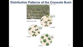 AP Biology CH 44 Lecture 1