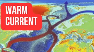 Celebrity The Gulf Stream Explained Net Worth