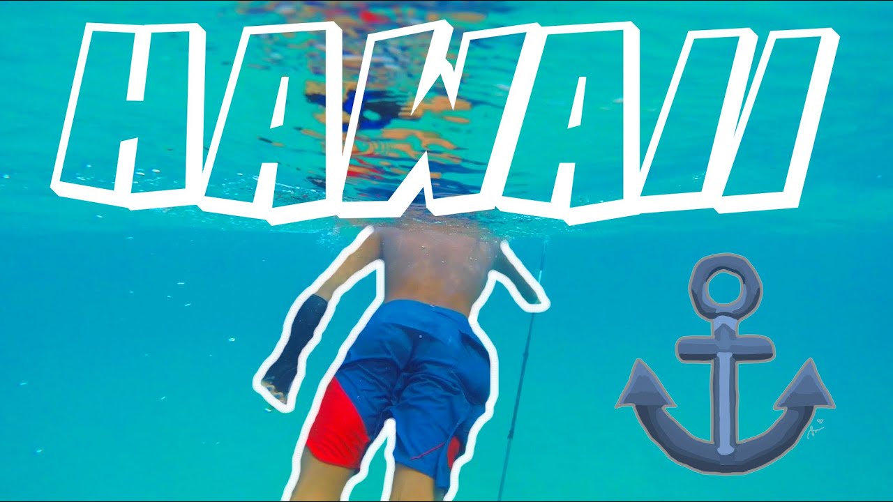 DIVING IN HAWAII!! YouTube