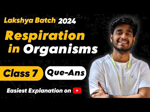 Respiration in Organisms Class 7 Science Chapter 6 Question Answers