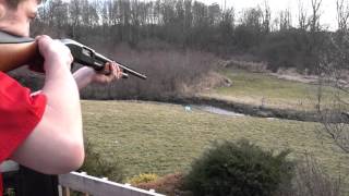 12 Ga. Cut Shell W/SlowMo