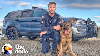 Brave Police Dog Meets His New Baby Sister | The Dodo