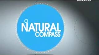 Patti Grandidge For Etc Hq