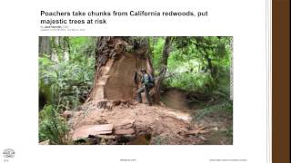 Social Studies Web tools and APPS screenshot 2