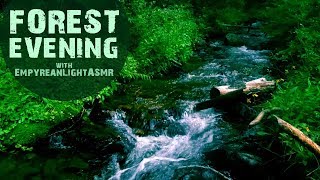 Forest MEDITATION 🌲 Birds, Rain, Soft Spoken Poetry Reading 🌲 Collab with EmpyreanLightASMR screenshot 2