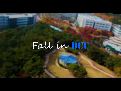 [대구가톨릭대학교 문헌정보학과] Fall in DCU, Fall in LIS! 드론으로 촬영한 대구가톨릭대학교의 아름다운 가을 캠퍼스