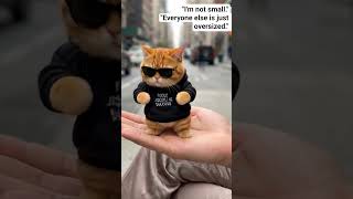 let people underestimate you.They'll be surprised later.  #FunnyCat #LazyCat #PocketCat #MiniCat