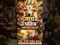 गौ माता क्यों पवित्र है | #shorts #gaumata #bhakti #krishna #33kotidevidavta |