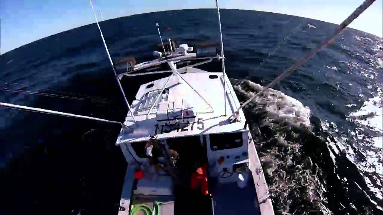Wicked Tuna Into The Storm Preview YouTube