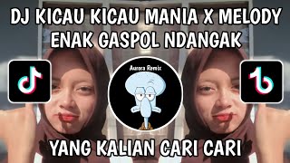 DJ KICAU KICAU MANIA X MELODY ENAK GASPOL NDANGAK | TREND VIRAL TIKTOK TERBARU 2026 | BY DANVATA