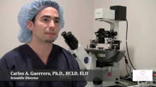 Human Embryo Selection For Ivf 214-618-2044