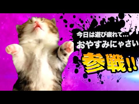 ヤバ過ぎネッコ全員参戦！！part102