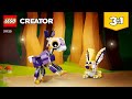 LEGO Instructions - Creator - 66789 - Animal Gift Set - Product Collection (Book 5)