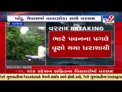 Desar Taluka in Vadodara received rainfall with lighting | TV9GujaratiNews