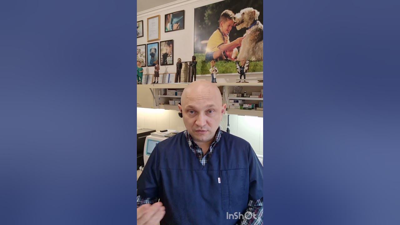 Антиутопия чипирование