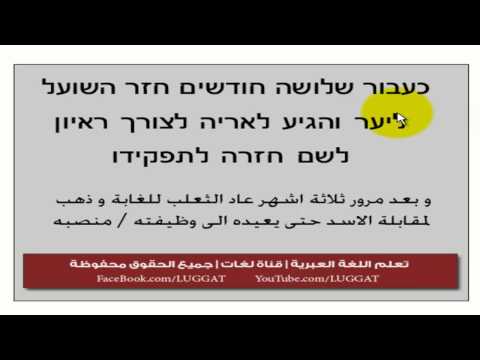 השועל יצא לחופשה | قصة قصيرة للتدرب