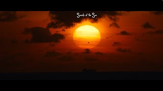 Sound of the Sun - ProRes HQ - Lumix S1H - Apocalypse Now LUT