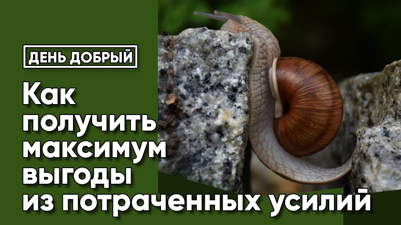 Потраченных усилий