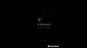 تلاوه نادره للشيخ محمد صديق المنشاوي