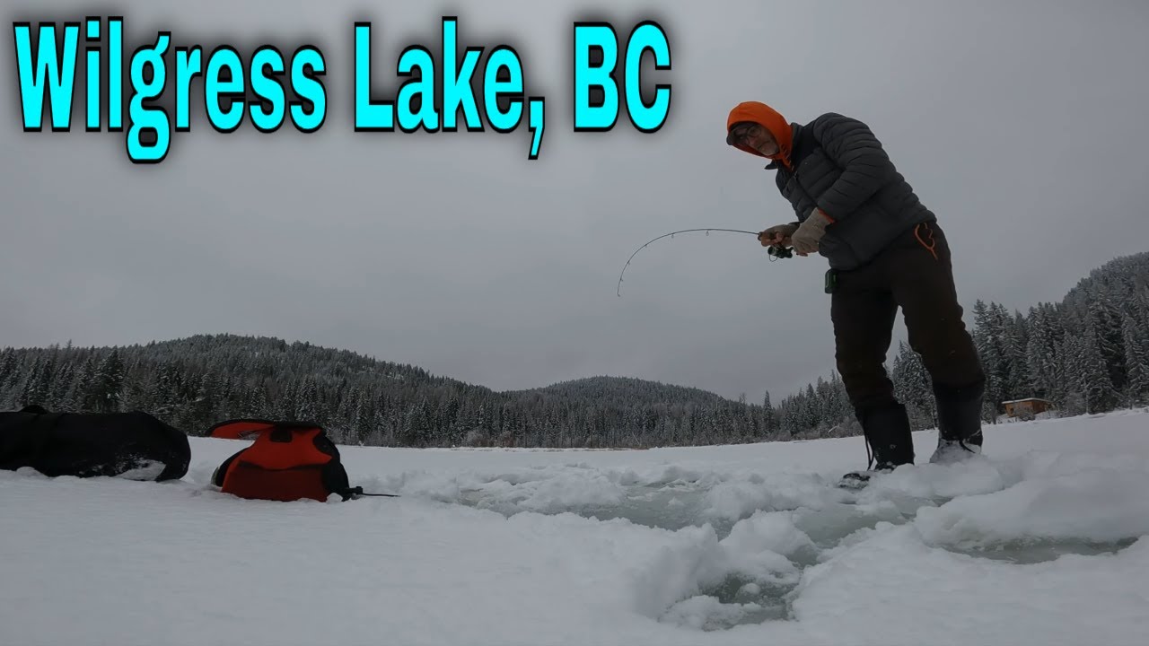 Catch Rainbow Trout Ice Fishing At Wilgress Lake BC Expert Tips catch-rainbow-trout-ice-fishing-at-wilgress-lake-bc-expert-tips