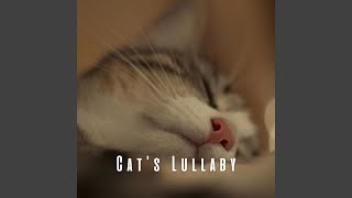 Harmony for Cats