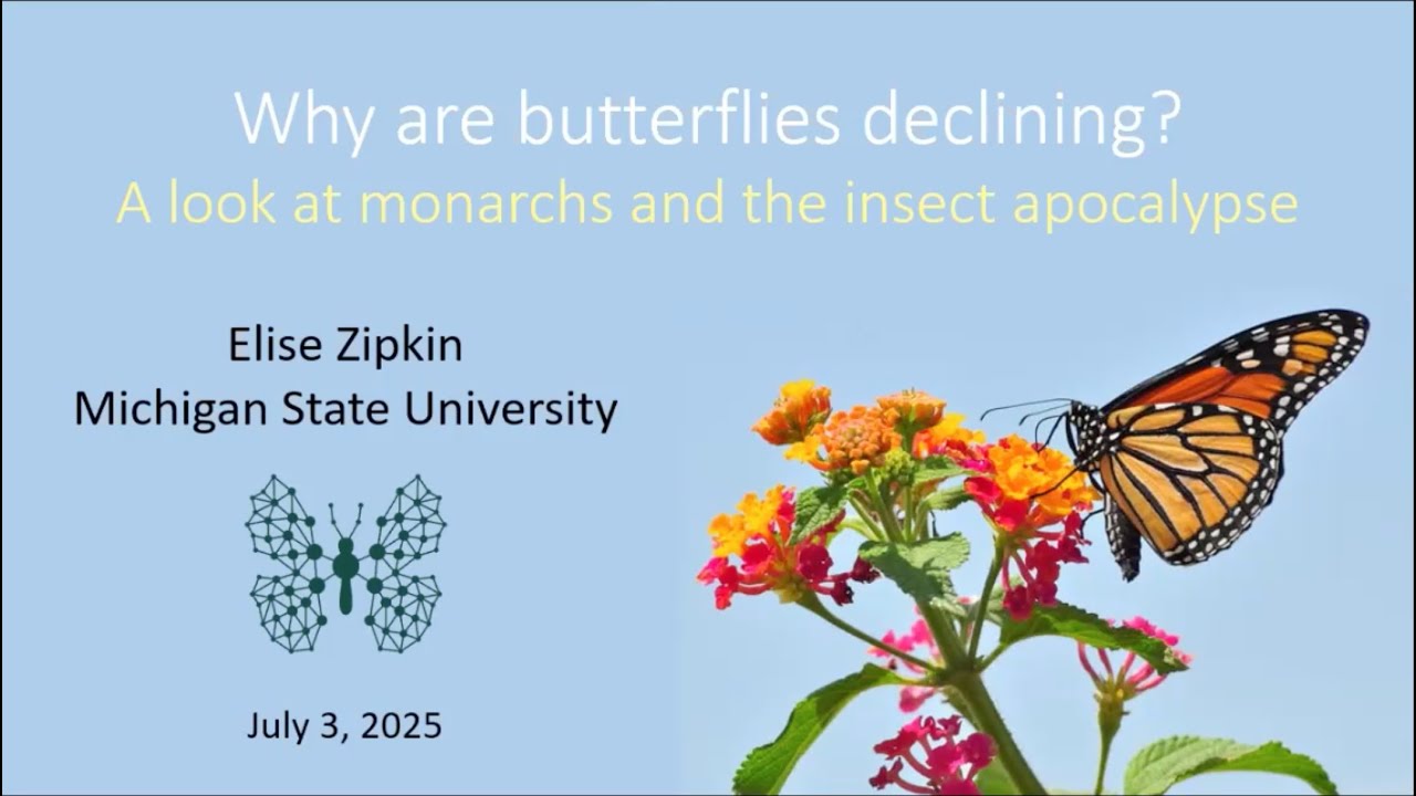 Harlow Seminar - July 3, 2025, Dr. Elise Zipkin