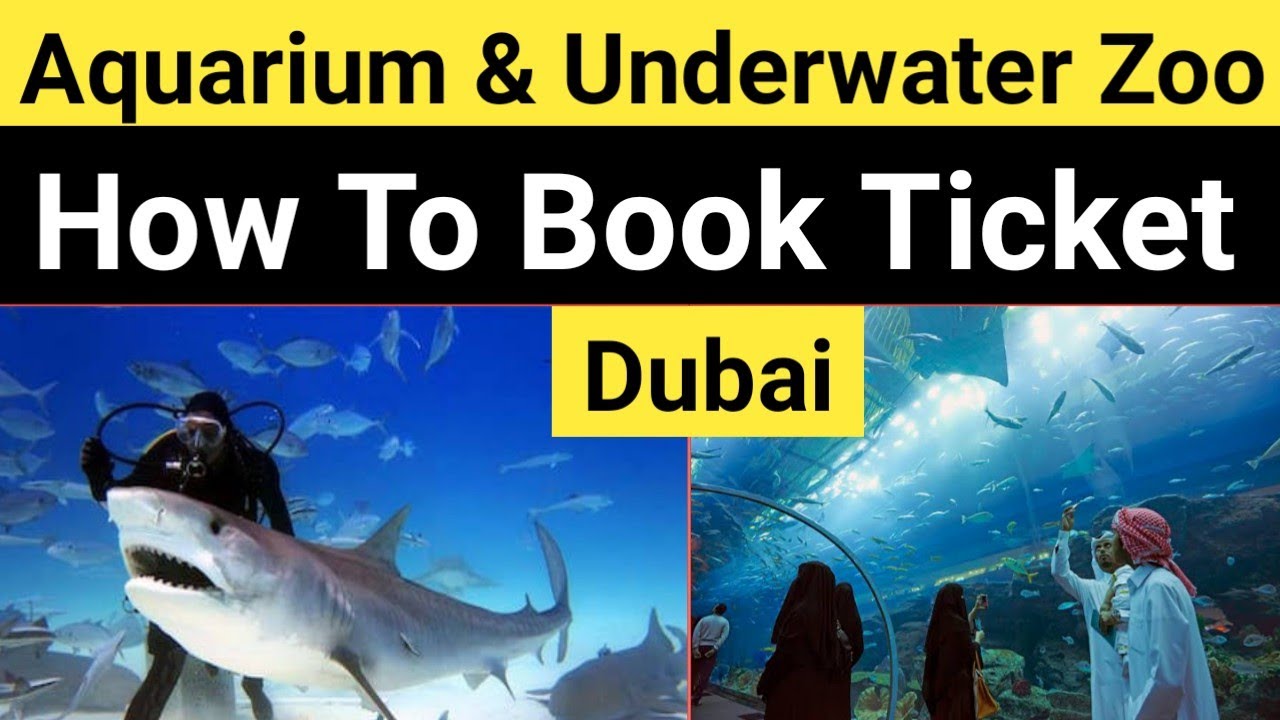 Dubai Aquarium & Underwater Zoo Entry Ticket How To Book Online Cheap