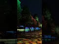 Outdoor Special Effect Petal Light: Make Your Park Evenings Breathtaking!