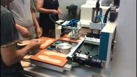 Insole Automatic Screen Printing Machine