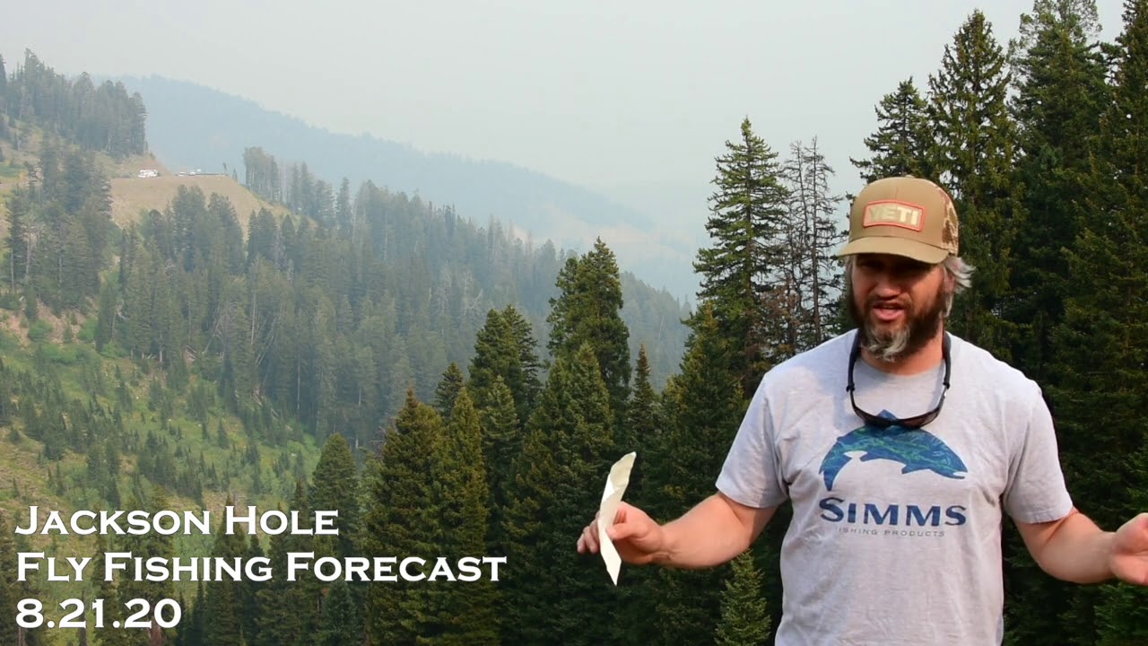 Jackson Hole Fly Fishing Forecast 8.21.20 - YouTube