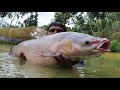 Cast a Lot of Fish With Net Fishing | Net Fishing in Pond