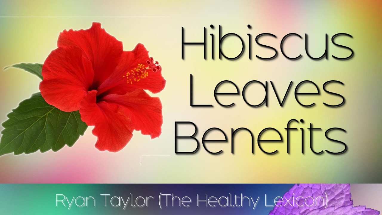 What are some benefits of hibiscus plants?