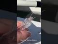 Top 5 Weirdest Sea Creatures!!! #shorts #ytshorts #shortsfeed