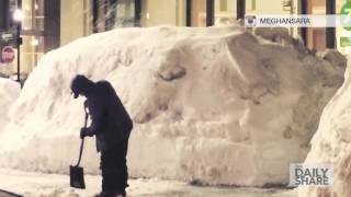 MASH-UP ALERT: Adorable animals playing in snow