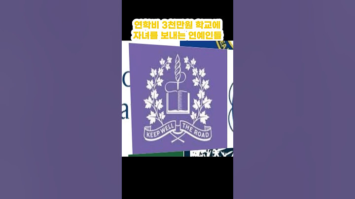 연 학비 3천만원인 학교에 자녀를 보내는 연예인들
