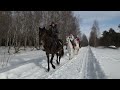 Прогулки на лошадях. Зима. Терволово. КСК Регион. Часть 1