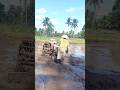 Traktor sawah banyuwangi #1848 #traktororang #farming #excavator #sawah #padi