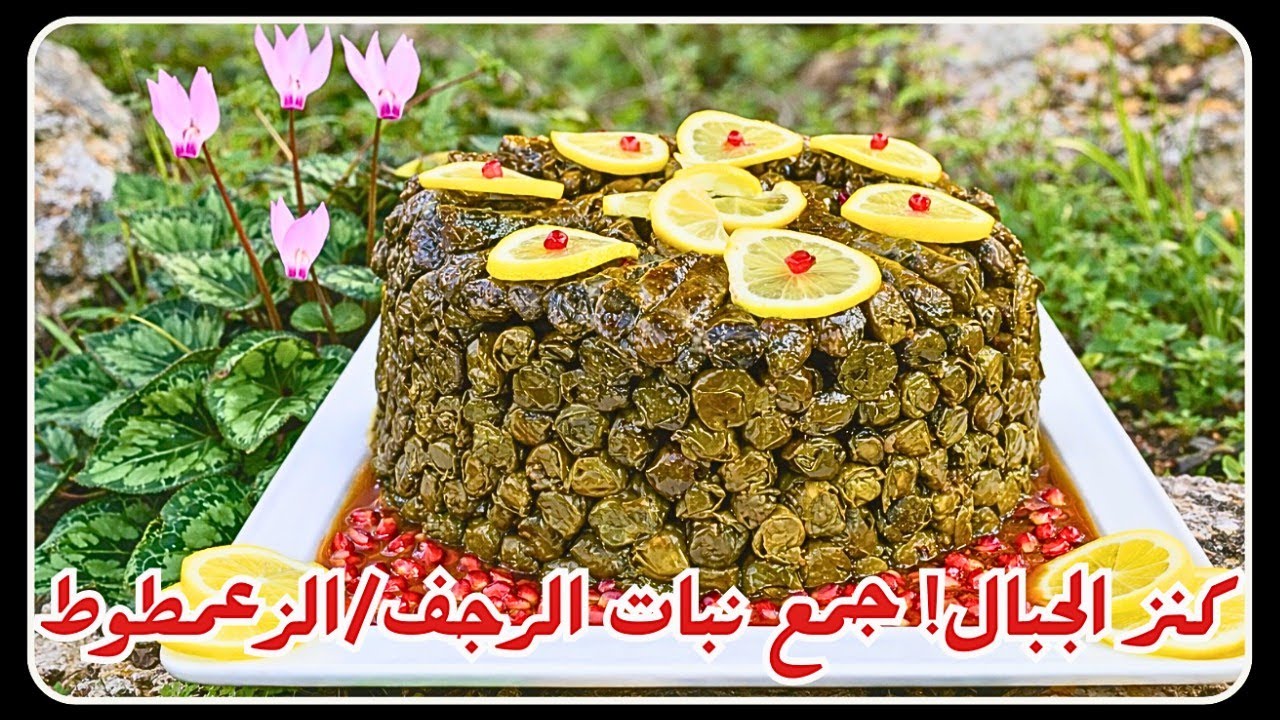 نبتة واحدة بـ20 اسم! (الرجف، الزعمطوط،السيلكما، كعب الغزال،…) اختلفت أسماؤها واتفق الكل على طعمها!😋🌿