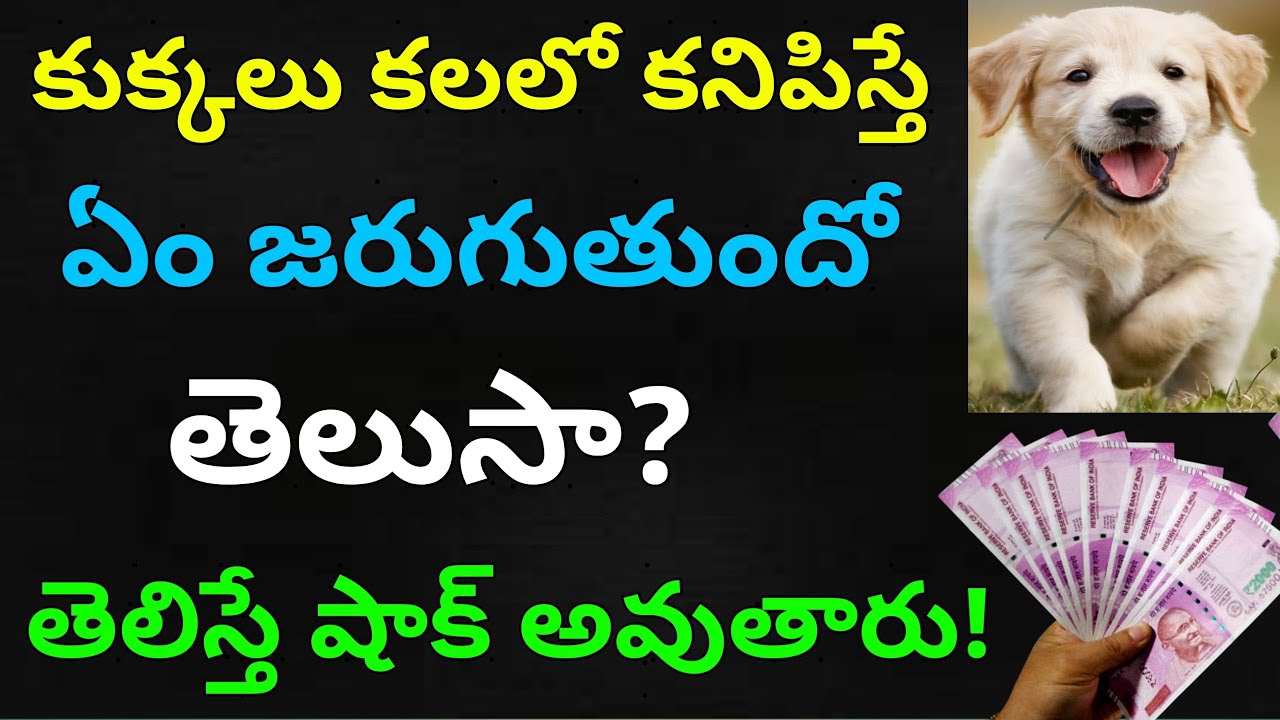 కుక్క కలలో కనపడితే ఏం జరుగుతుందో తెలుసా తెలిస్తే షాక్ అవుతారు-Shocking Facts-బ్రహ్మంగారి కాలజ్ఞానం