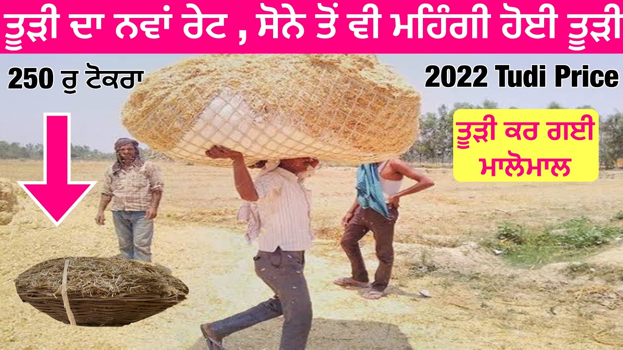 2022 tudi price | ਤੂੜੀ ਦੇ ਰੇਟ ਸੁਣਕੇ ਹੋਸ਼ ਉੱਡ ਜਾਣਗੇ
