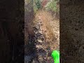 KLX300 short trail ride in Asheboro NC