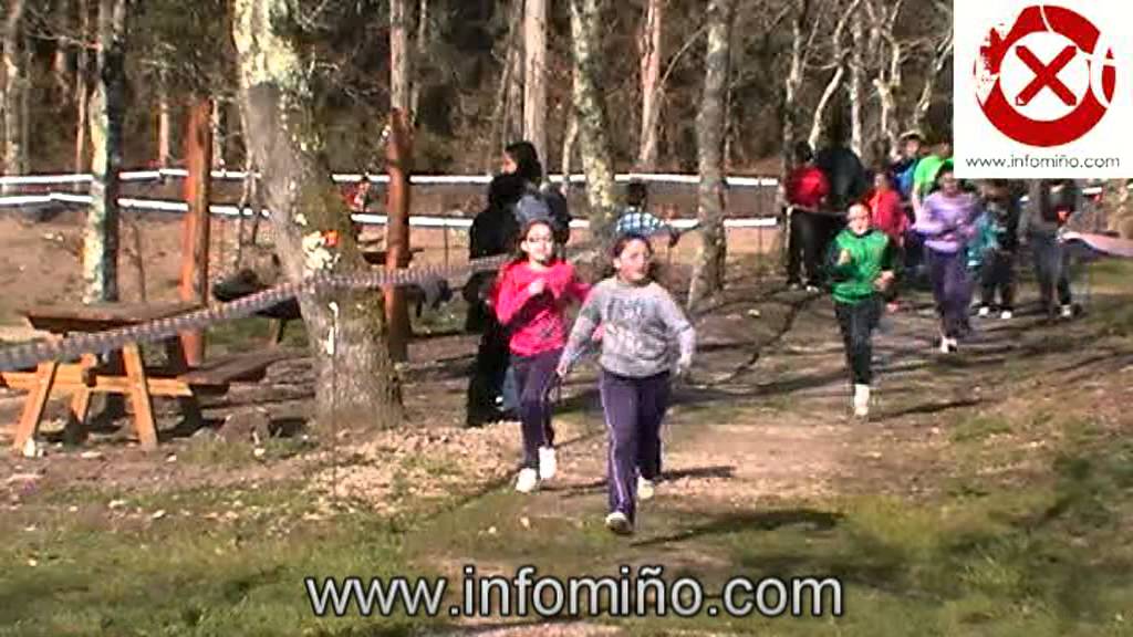 INFOMIÑO - ESCOLARES TOMIÑO CARREIRA POLA PAZ FEBREIRO 2013