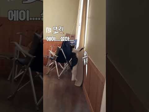 <strong>커튼</strong> 작살? 에이 설마~