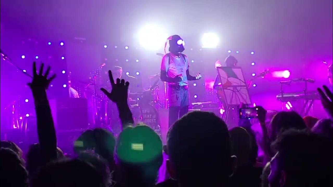 drunk drivers/killer whale live car seat headrest 3/31/22 YouTube