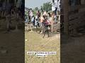 💫💥அகரம் ஜல்லிக்கட்டு பேரவை நிலவு kallakurichi jallikattu agaram jallikattu peravai nilavu😍