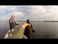 Tench fishing in estonia