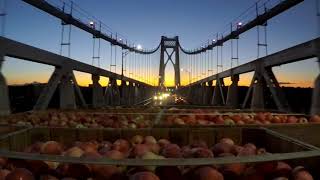 Beautiful Hudson Valley Sunrise As Apples From Clarke's Family Farm Cross The Bridge
