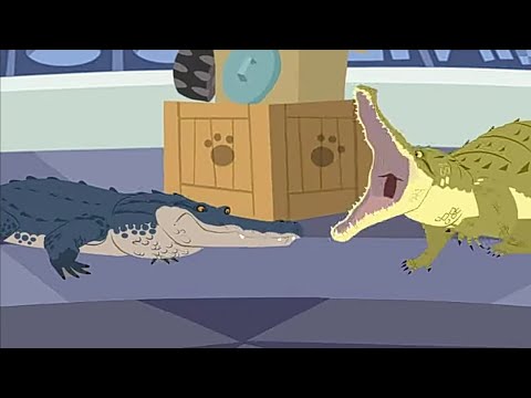Крокодил против Аллигатора.Братья Кратт: Зов Природы. Новая серия. Канал Детишки