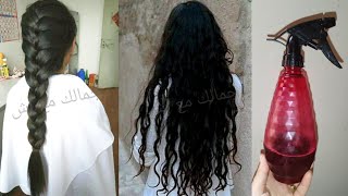 ساعة علي شعرك المتساقط الضعيف بدون غسل?العلاج السحري لشعرك ,تطويل وتكثيف  Rosemary العشبة المعجزة